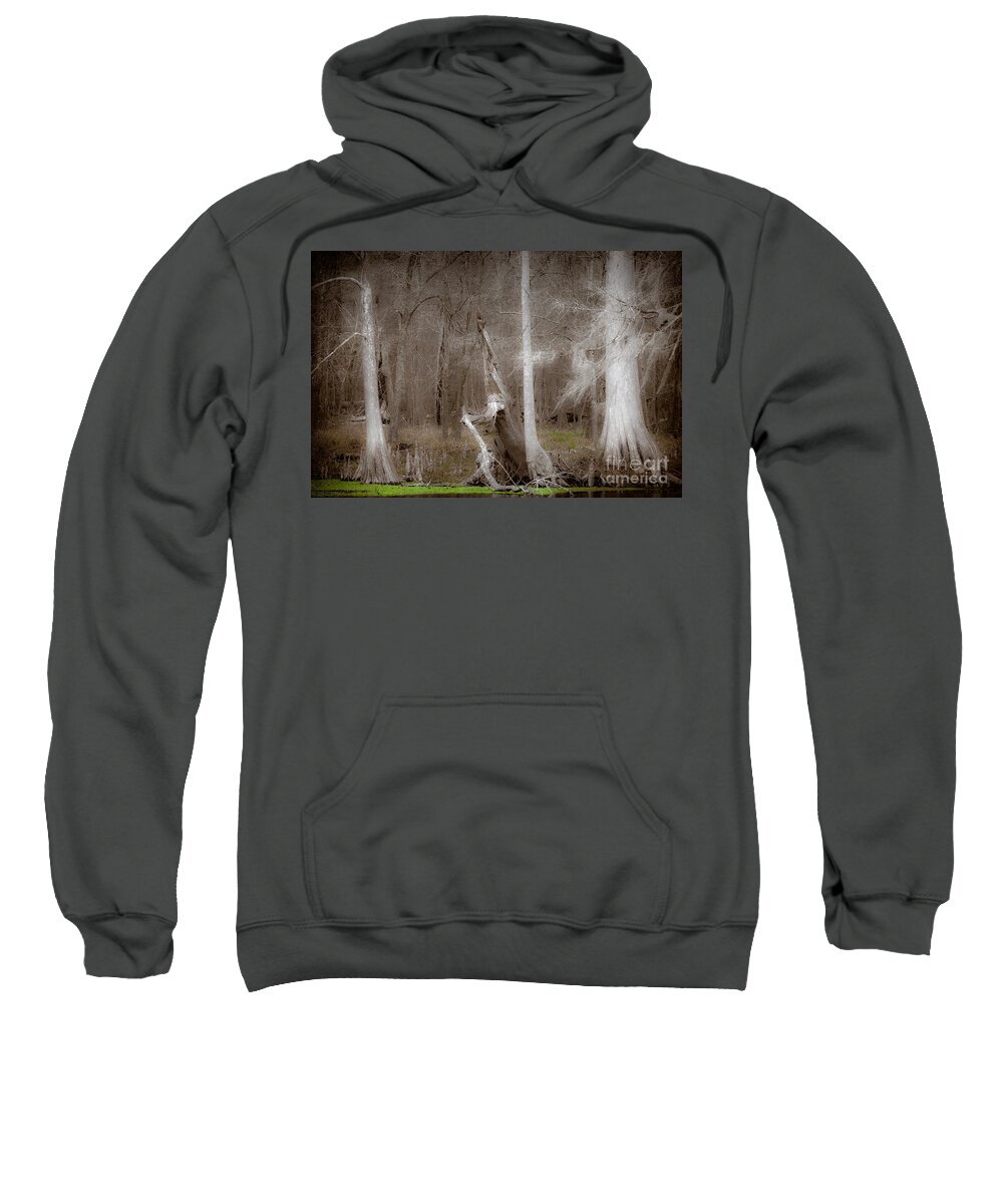 Craggy Sweatshirt featuring the photograph Ghost Trees by Jo Ann Tomaselli