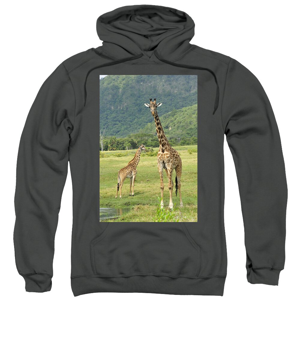 Thomas Marent Sweatshirt featuring the photograph Giraffe Mother And Calftanzania by Thomas Marent