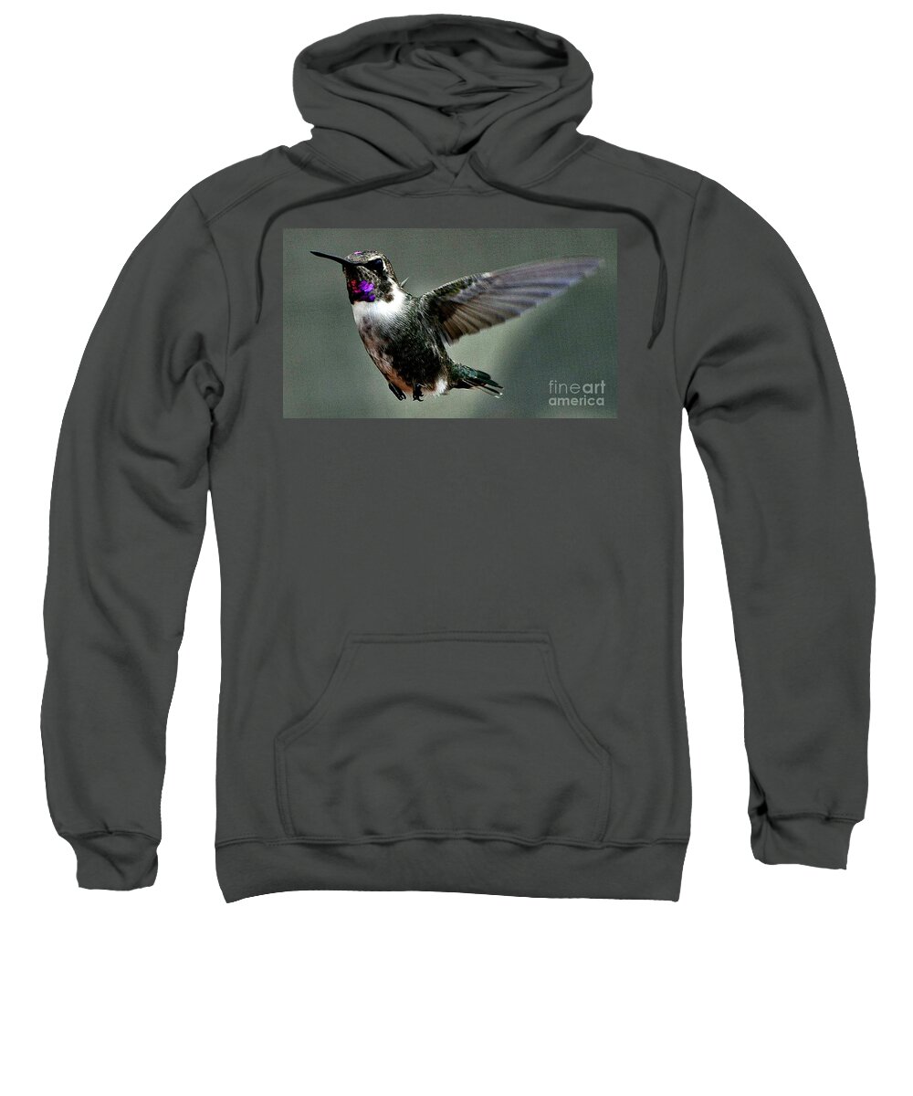 Hummingbird Sweatshirt featuring the photograph Glorious Male Anna's Hummingbird by Jay Milo