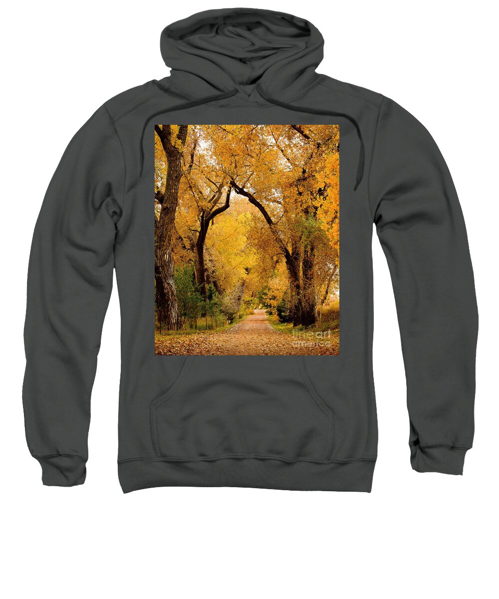 Landscape Sweatshirt featuring the photograph Golden Roads by Steven Reed