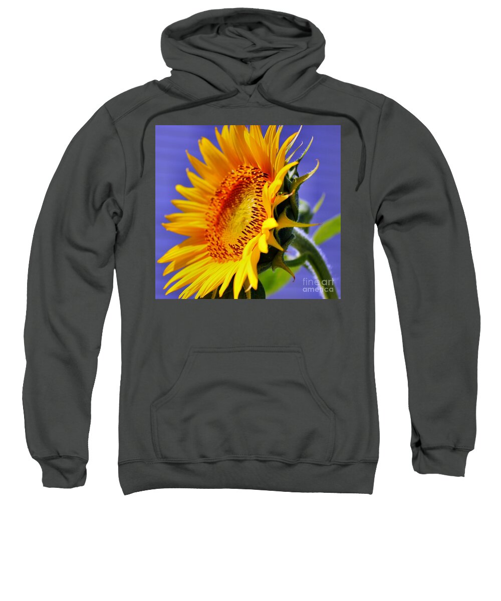 Sunflower Sweatshirt featuring the photograph Golden Sunflower by Judy Palkimas