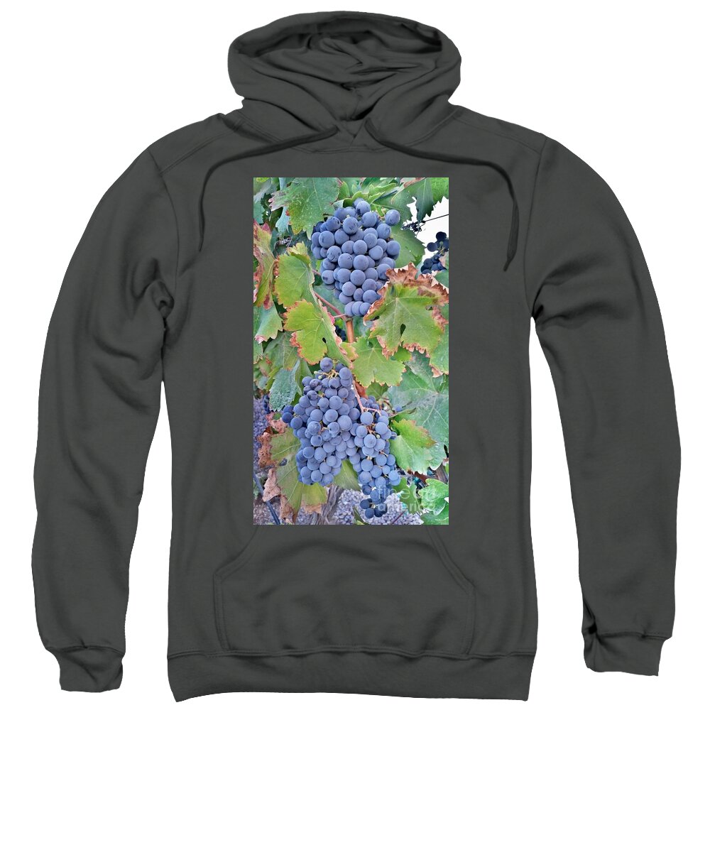 Grapes Sweatshirt featuring the photograph Grapes by Bridgette Gomes