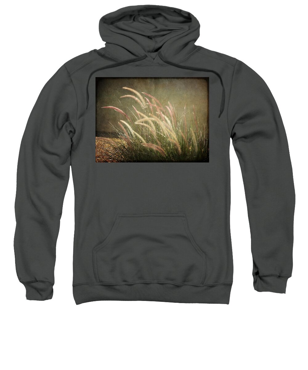 Ornamental Sweatshirt featuring the photograph Grasses in Beauty by Lucinda Walter