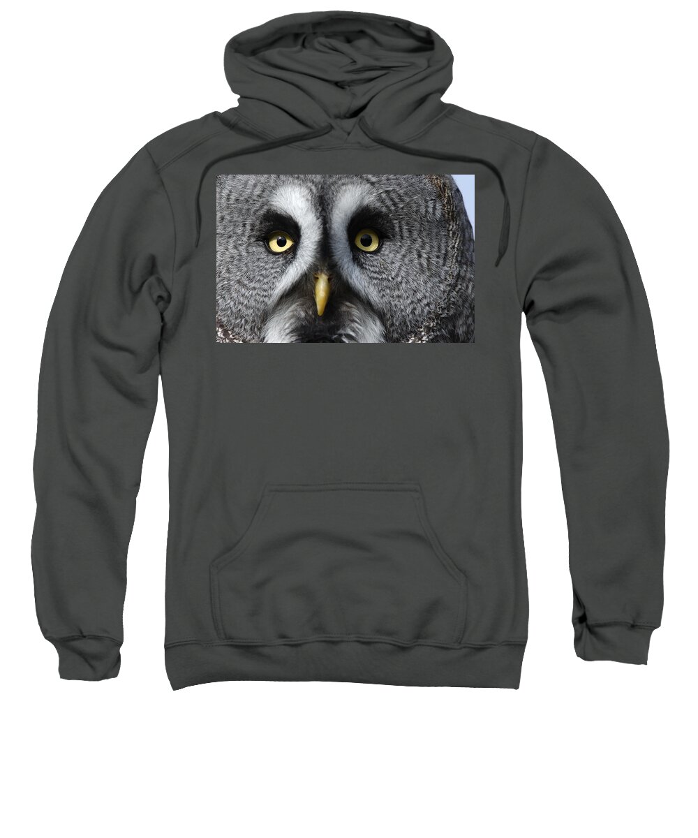 Flpa Sweatshirt featuring the photograph Great Grey Owl Finland by Malcolm Schuyl