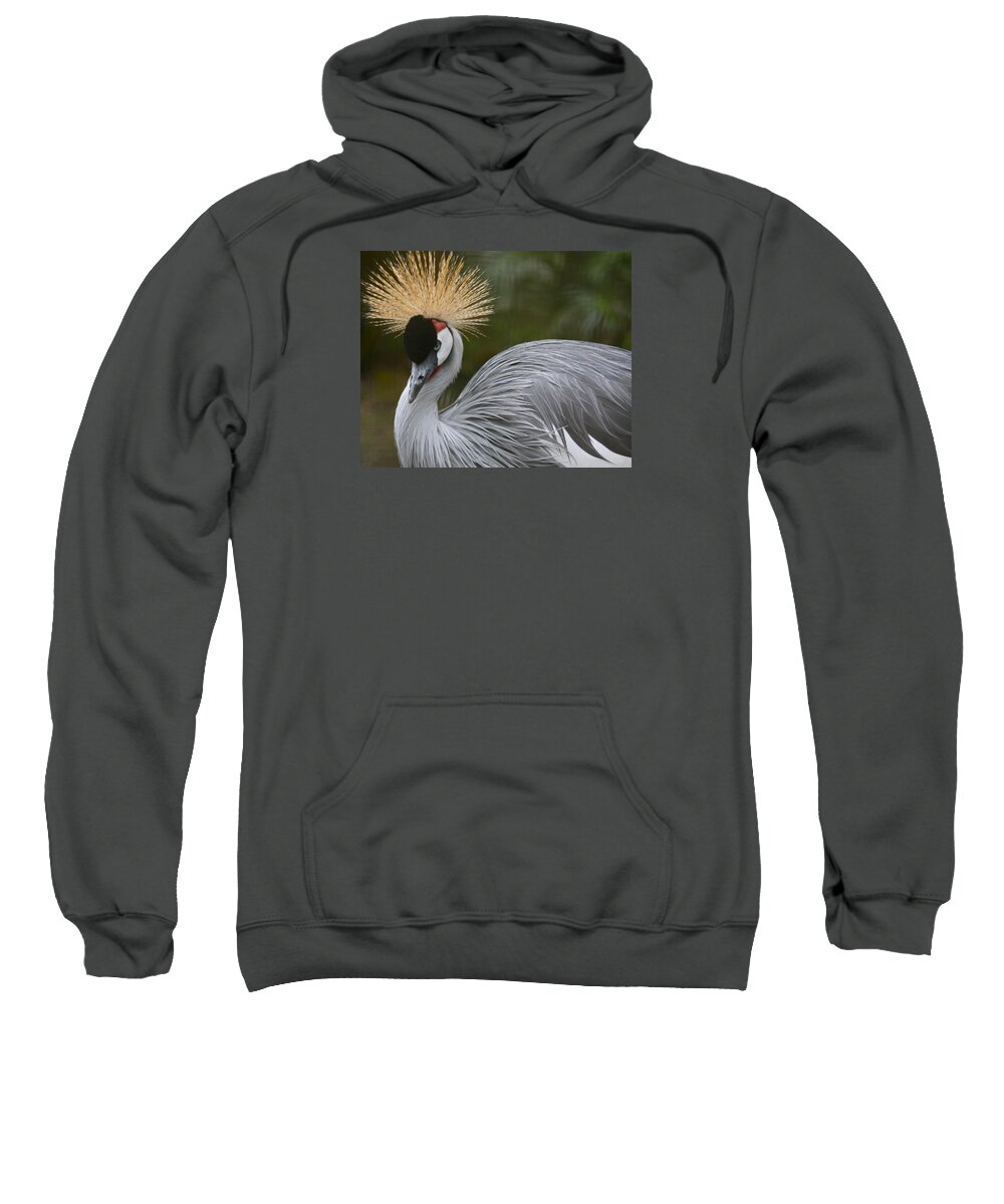 Bird Sweatshirt featuring the photograph Grey Crowned Crane by Venetia Featherstone-Witty