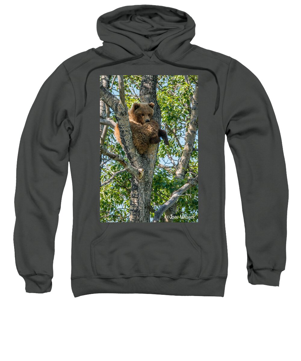 Alaska Sweatshirt featuring the photograph Grizzly Hanging Out by Joan Wallner