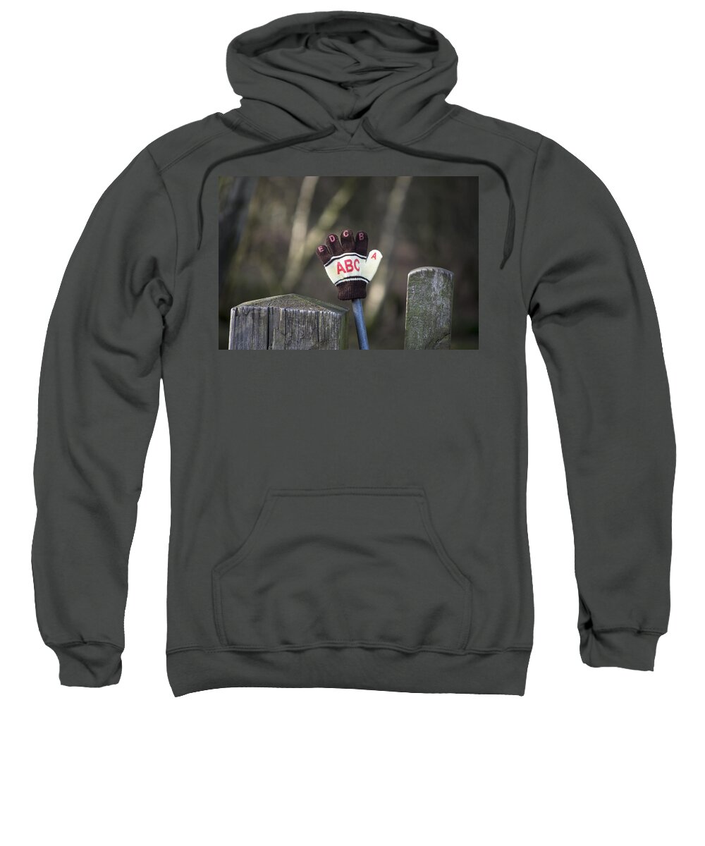 Glove Sweatshirt featuring the photograph Handy by Spikey Mouse Photography