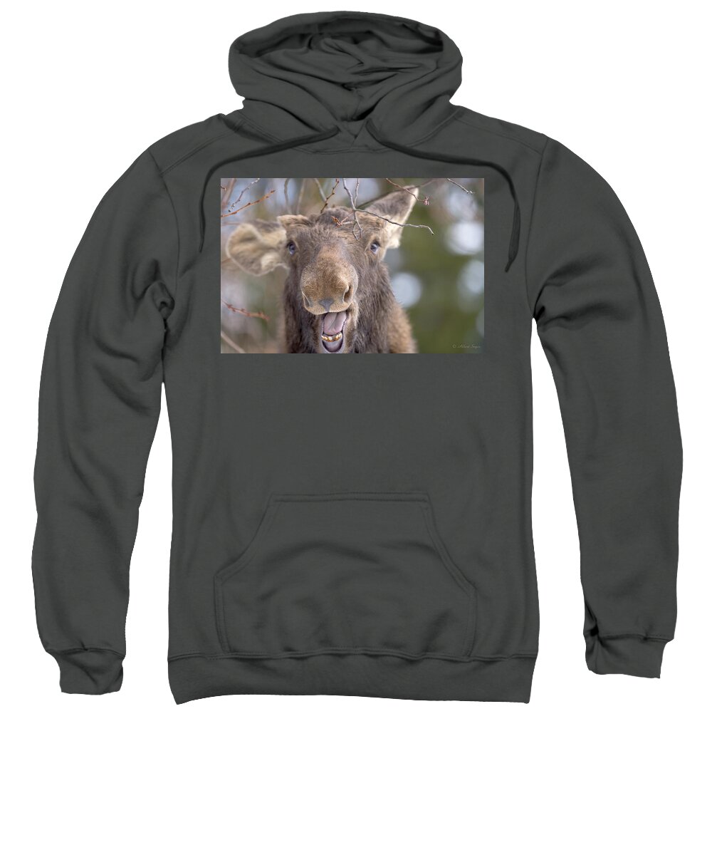 Moose Sweatshirt featuring the photograph Hey Al Take my picture... - 150125A-017 by Albert Seger