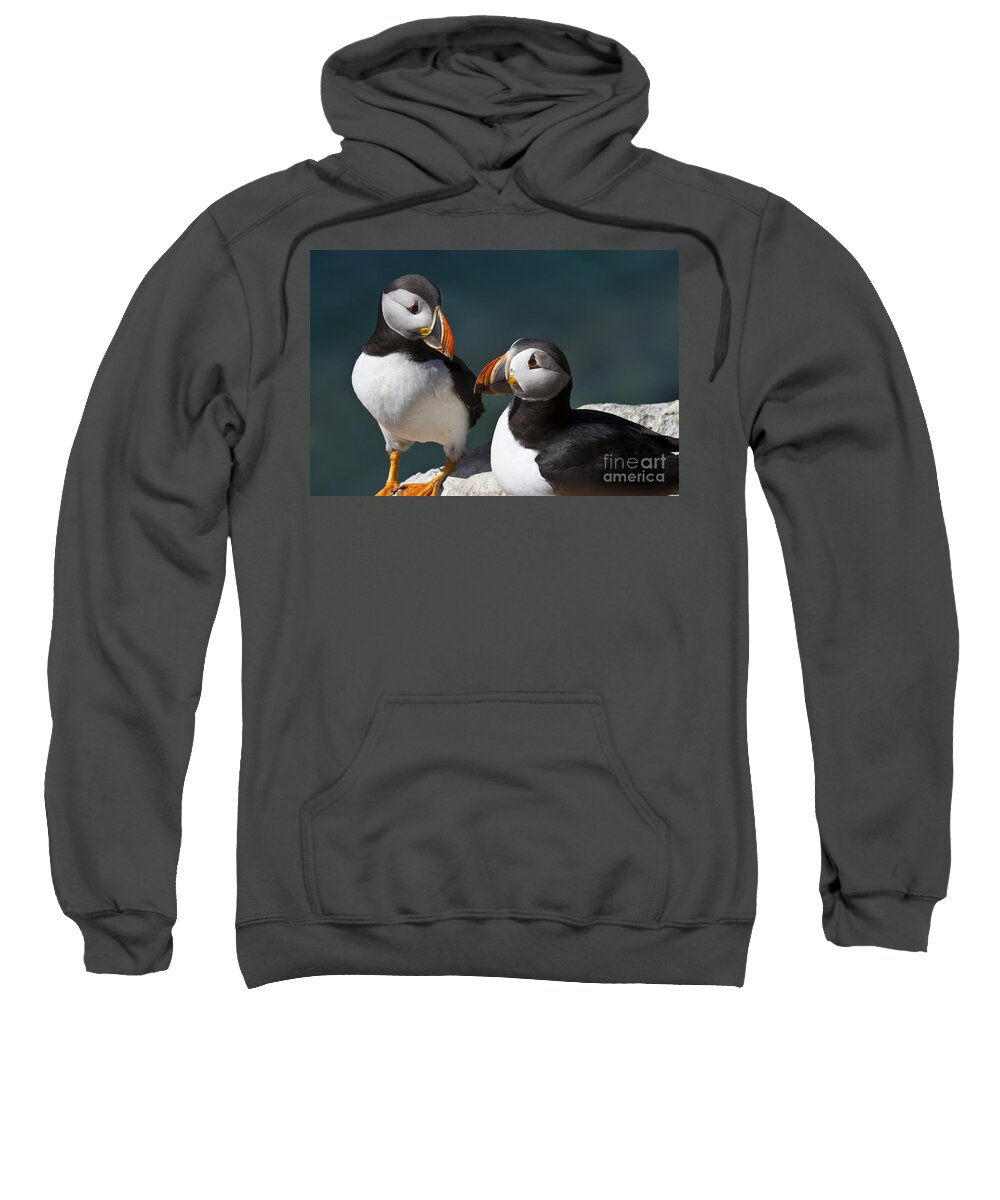 Bird Sweatshirt featuring the photograph Two Puffins in Front of the Sea by Heiko Koehrer-Wagner