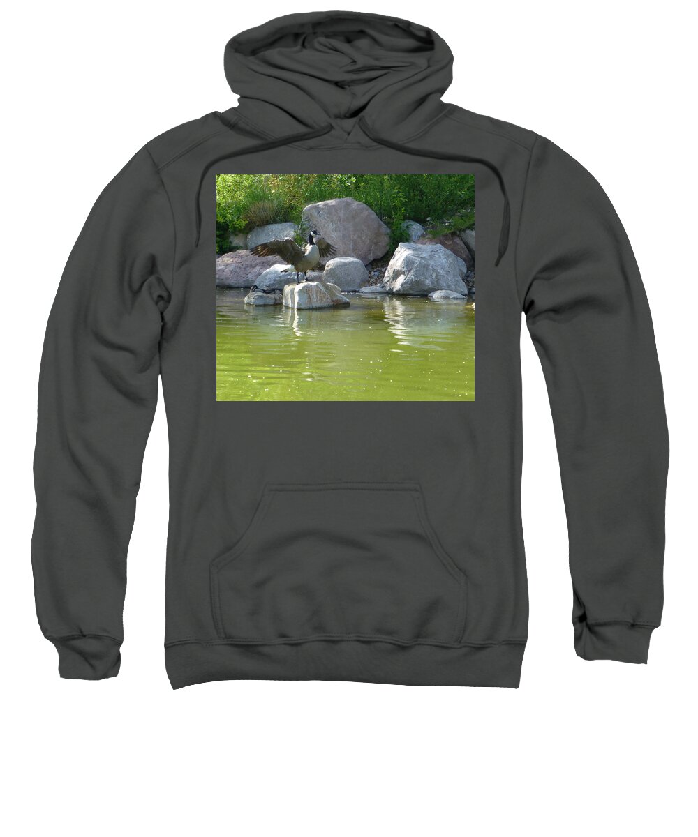 Goose Sweatshirt featuring the photograph Hidden Goose by Claudia Goodell