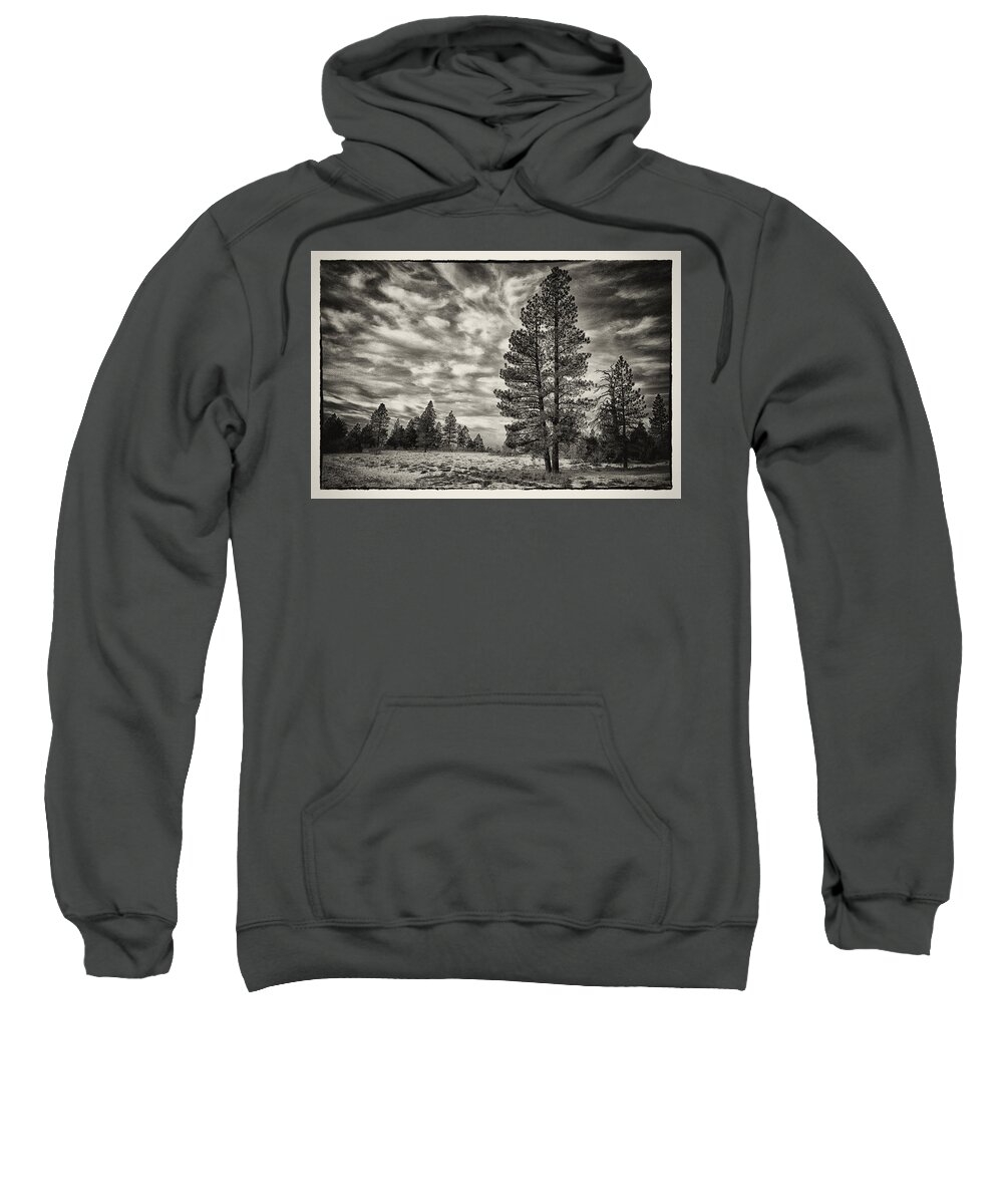  #landscape #places #snow #trees #travel #utah #pine Sweatshirt featuring the photograph High Altitude by Robert Fawcett