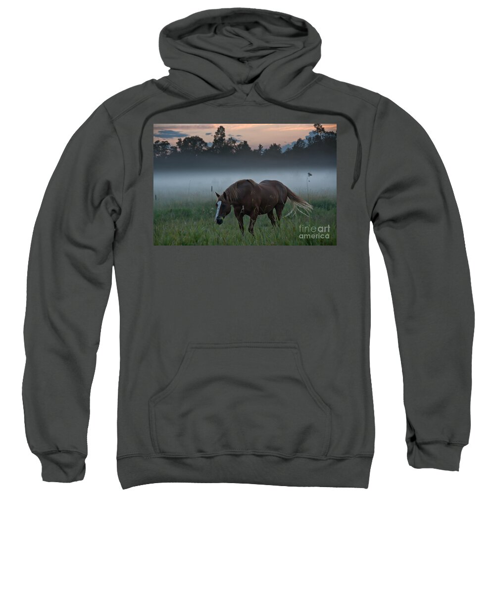 Landscape Sweatshirt featuring the photograph Horse and Fog by Cheryl Baxter