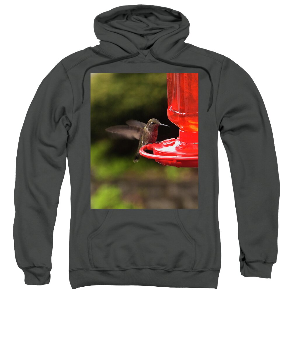 Bird Sweatshirt featuring the photograph Humming Bird Landing by Ron Roberts