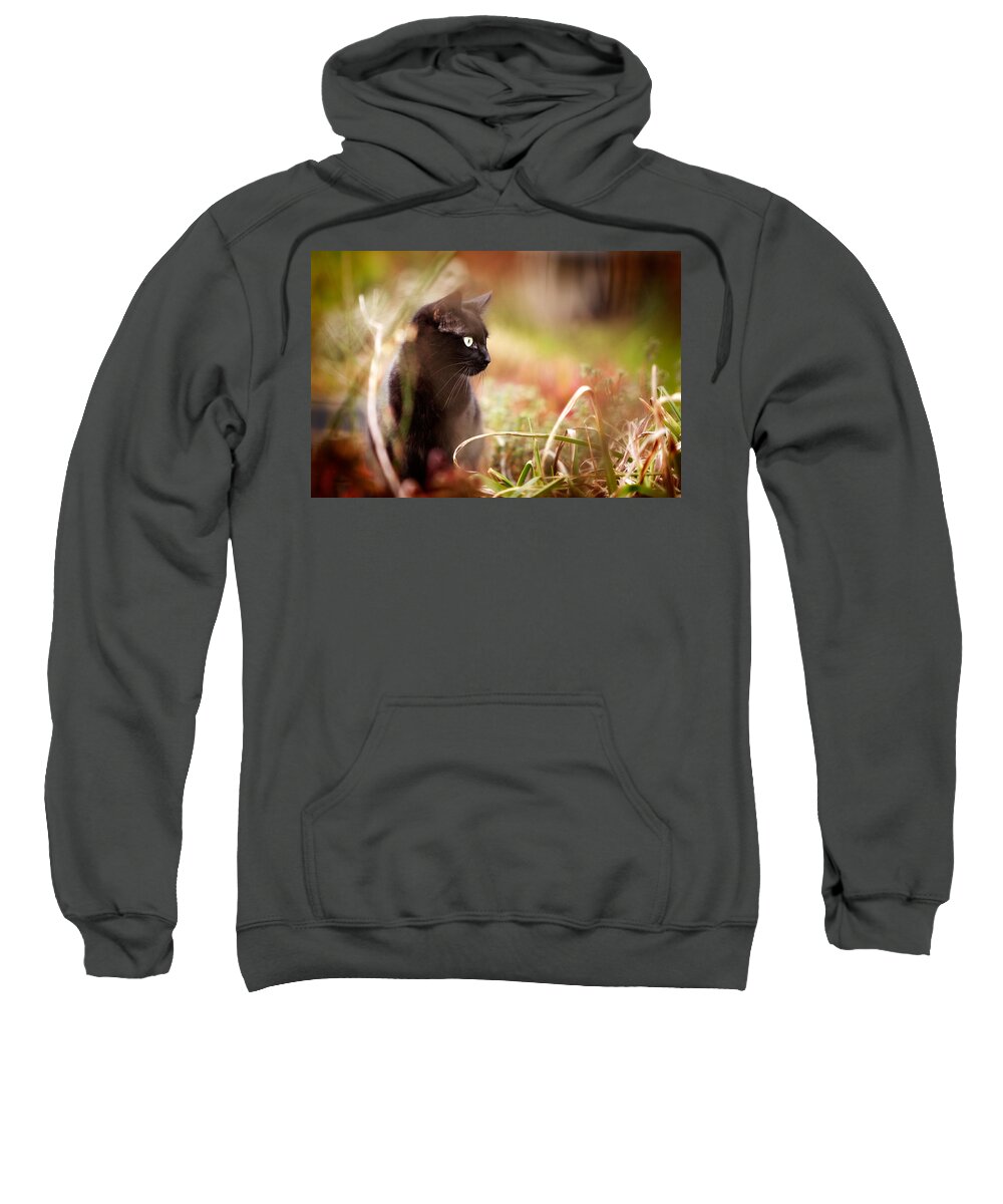 Cat Sweatshirt featuring the photograph Hunter by Ian Good