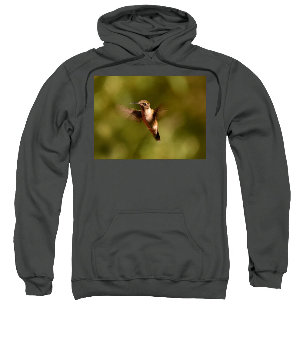 Hummingbird Sweatshirt featuring the photograph Hurry Up and Take My Picture by Lori Tambakis