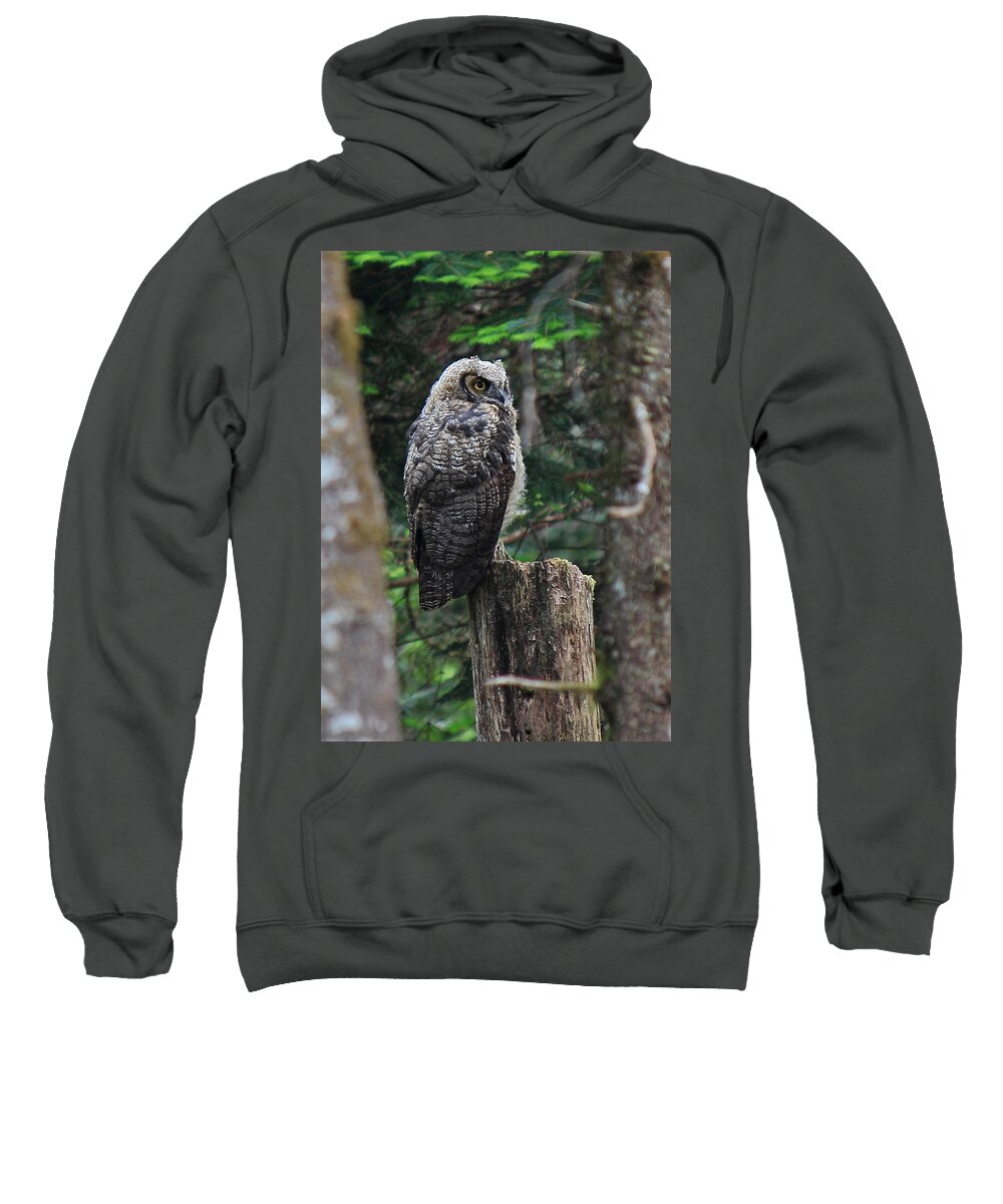 Owl Sweatshirt featuring the photograph I Know You're There by Randy Hall