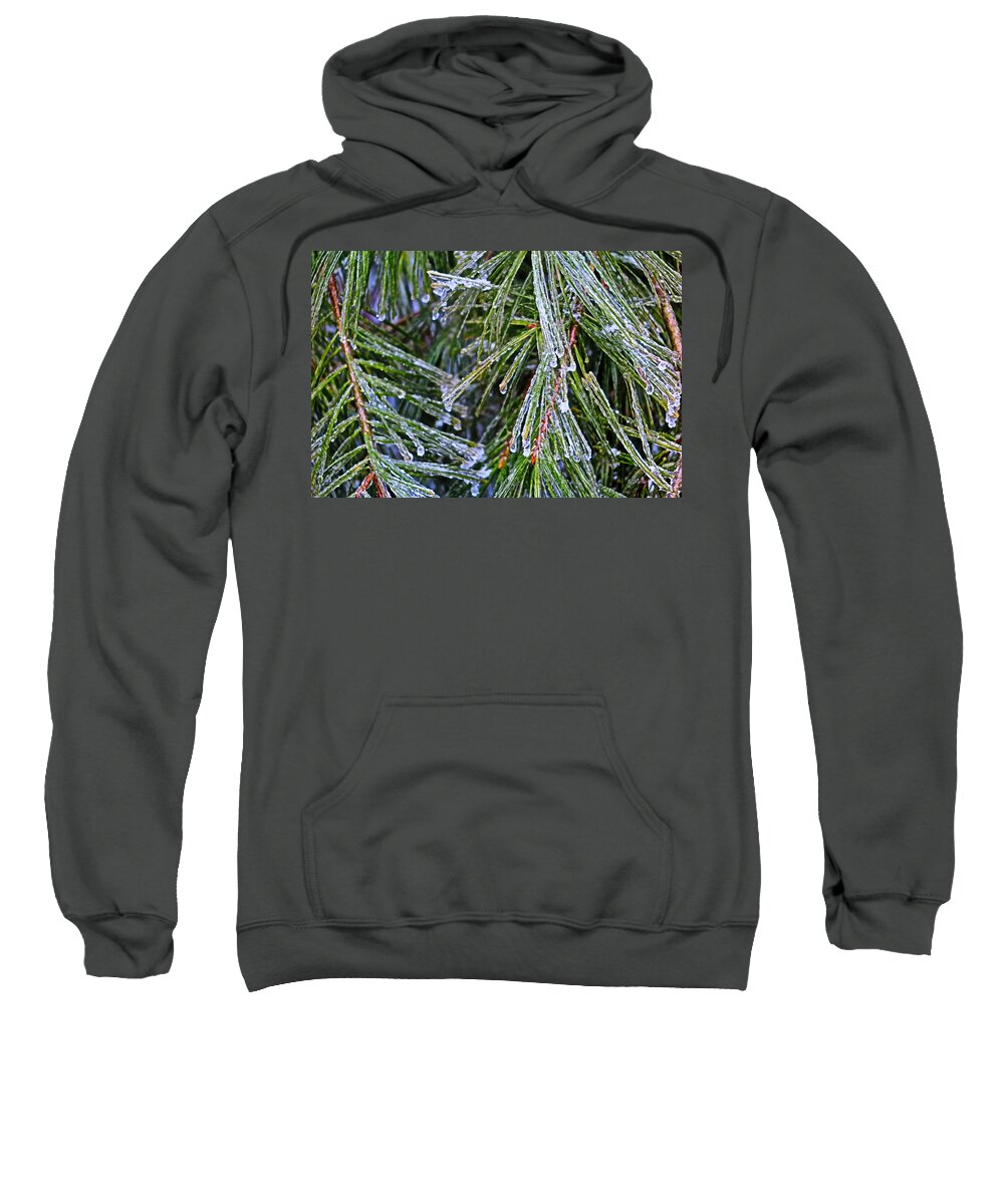 Ice Sweatshirt featuring the photograph Ice On Pine Needles by Daniel Reed