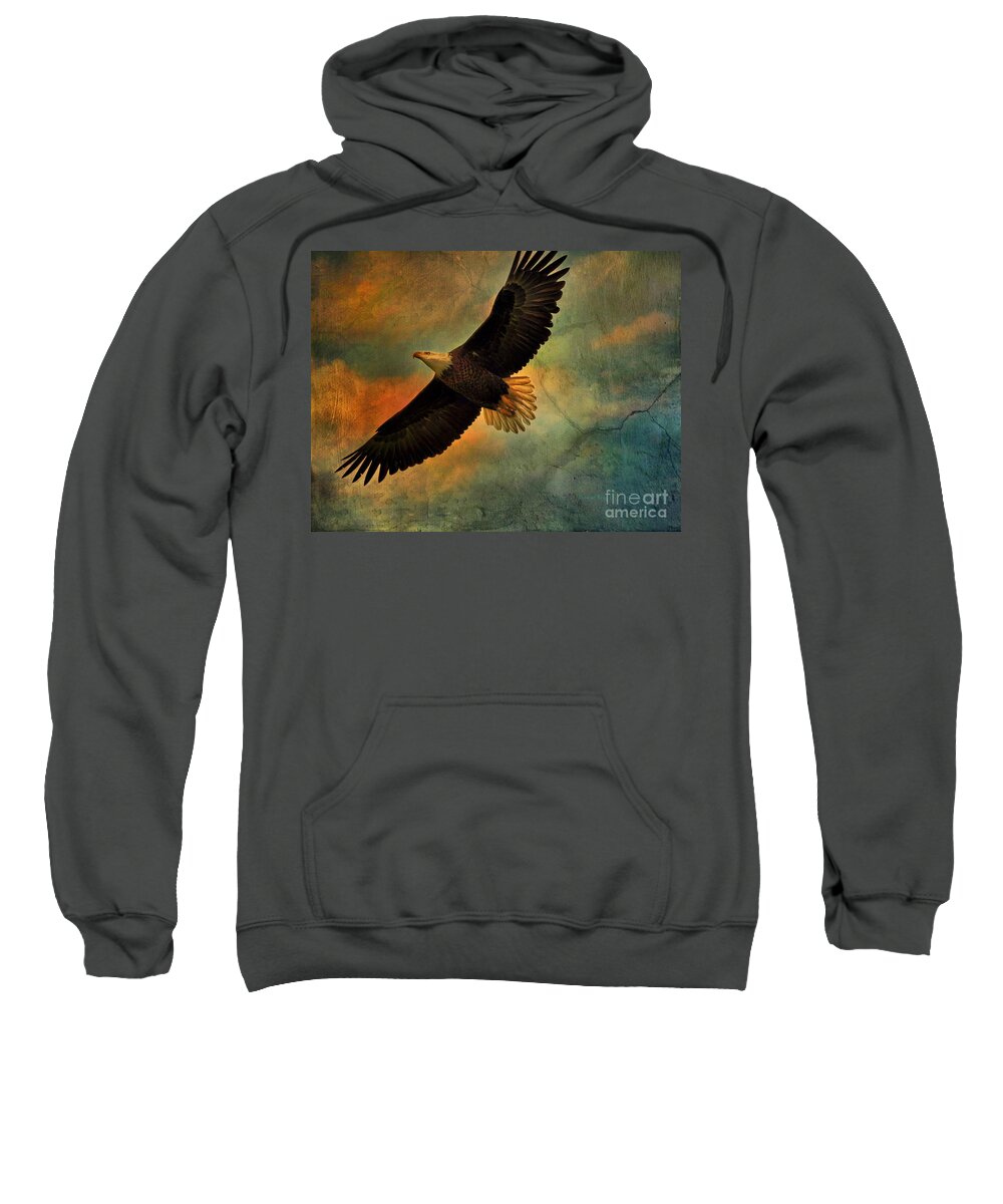 Eagle Sweatshirt featuring the photograph Illumination Of Spirit by Deborah Benoit