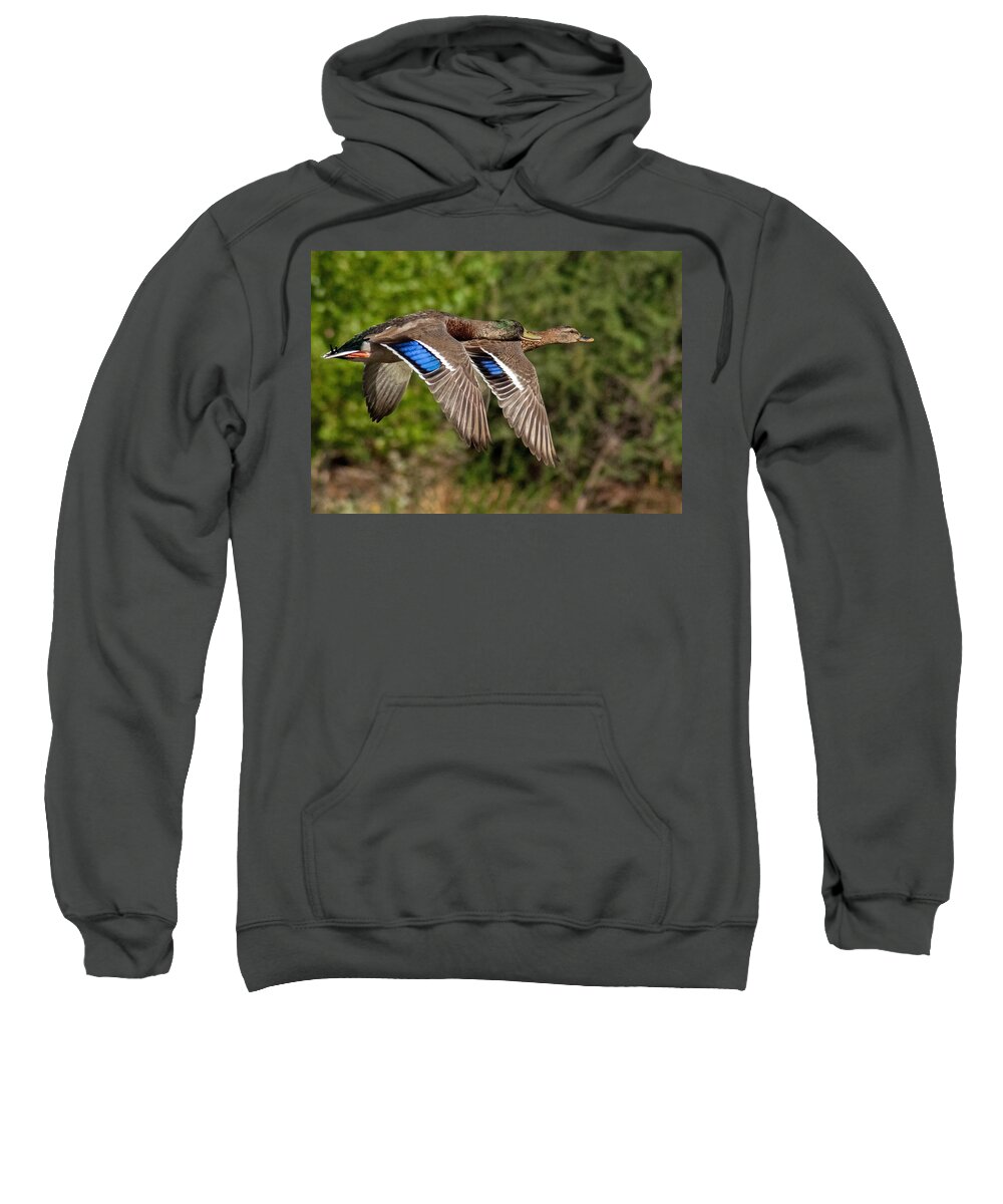 Ducks Flight Sweatshirt featuring the photograph In Tandem by Tam Ryan