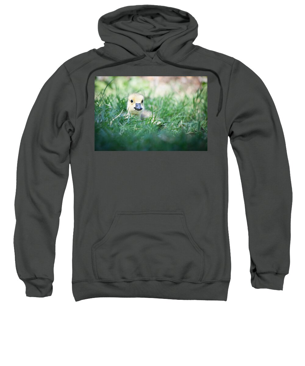 Bird Sweatshirt featuring the photograph In The Grass by Priya Ghose