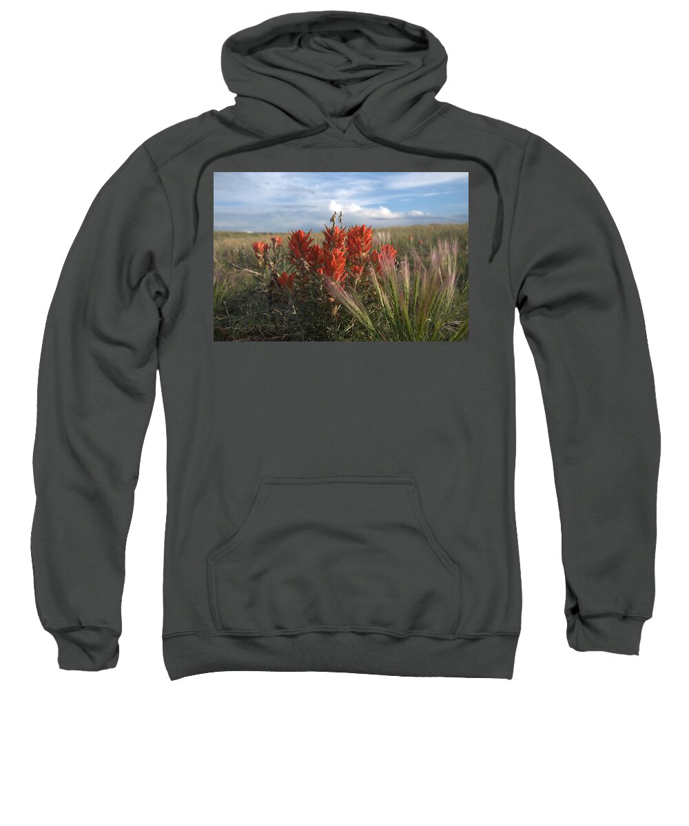 Flower Sweatshirt featuring the photograph Indian Paintbrush by Frank Madia