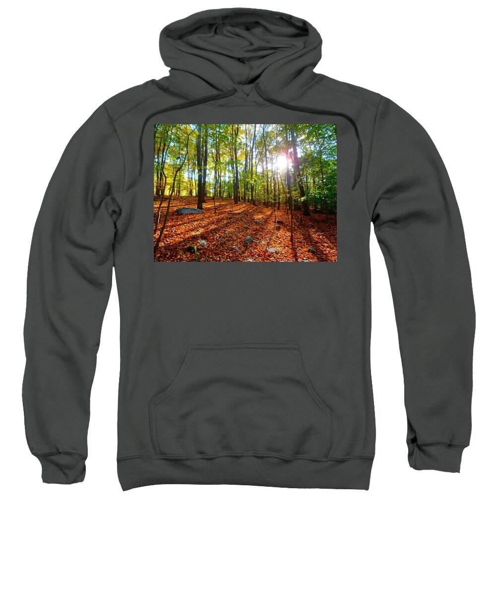 Woods Sweatshirt featuring the photograph Into the Woods by Richard Bryce and Family