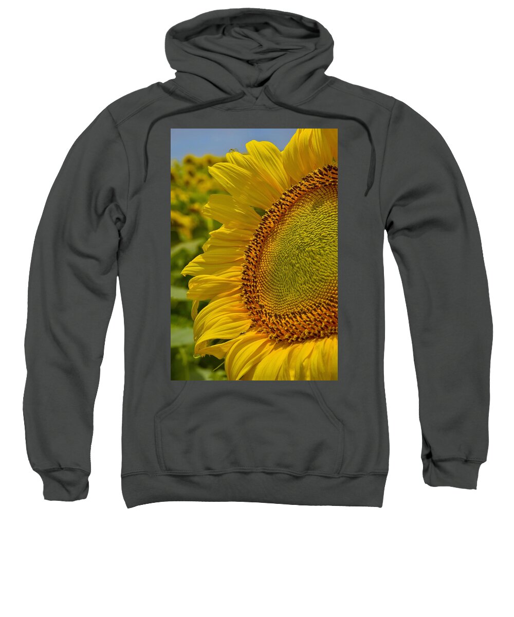 Itsy Bitsy Sweatshirt featuring the photograph Itsy Bitsy by Skip Hunt