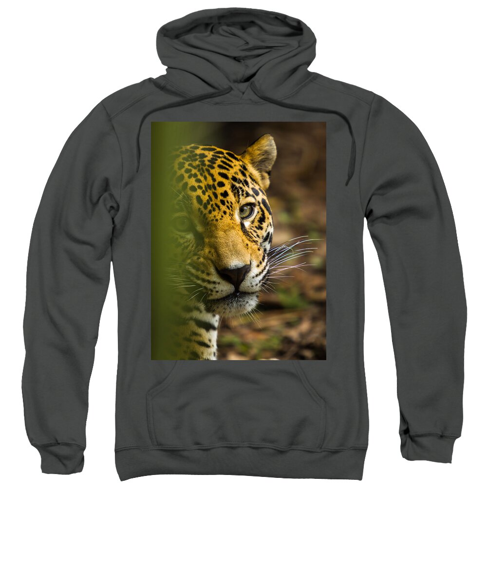 Jaguar Sweatshirt featuring the photograph Jaguar by Raul Rodriguez