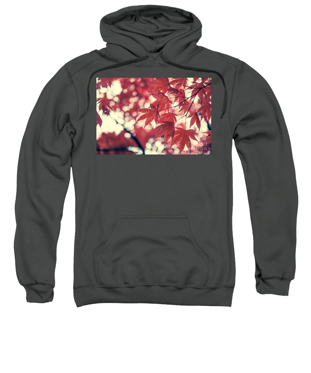 Autumn Sweatshirt featuring the photograph Japanese Maple Leaves - Vintage by Hannes Cmarits