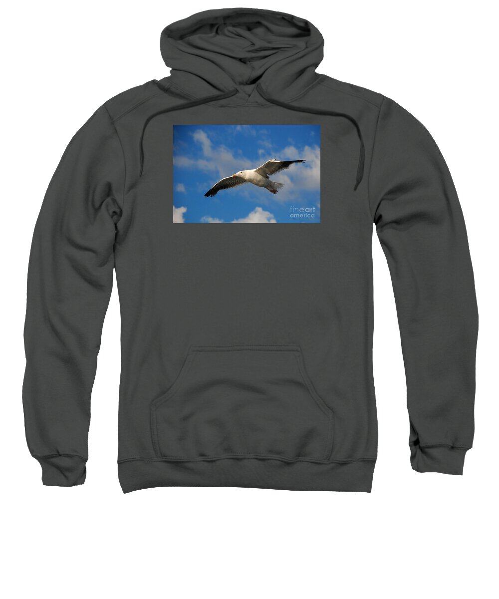 Seagull Sky Fly Soar Sweatshirt featuring the photograph Jonathan Livingston by Richard Gibb