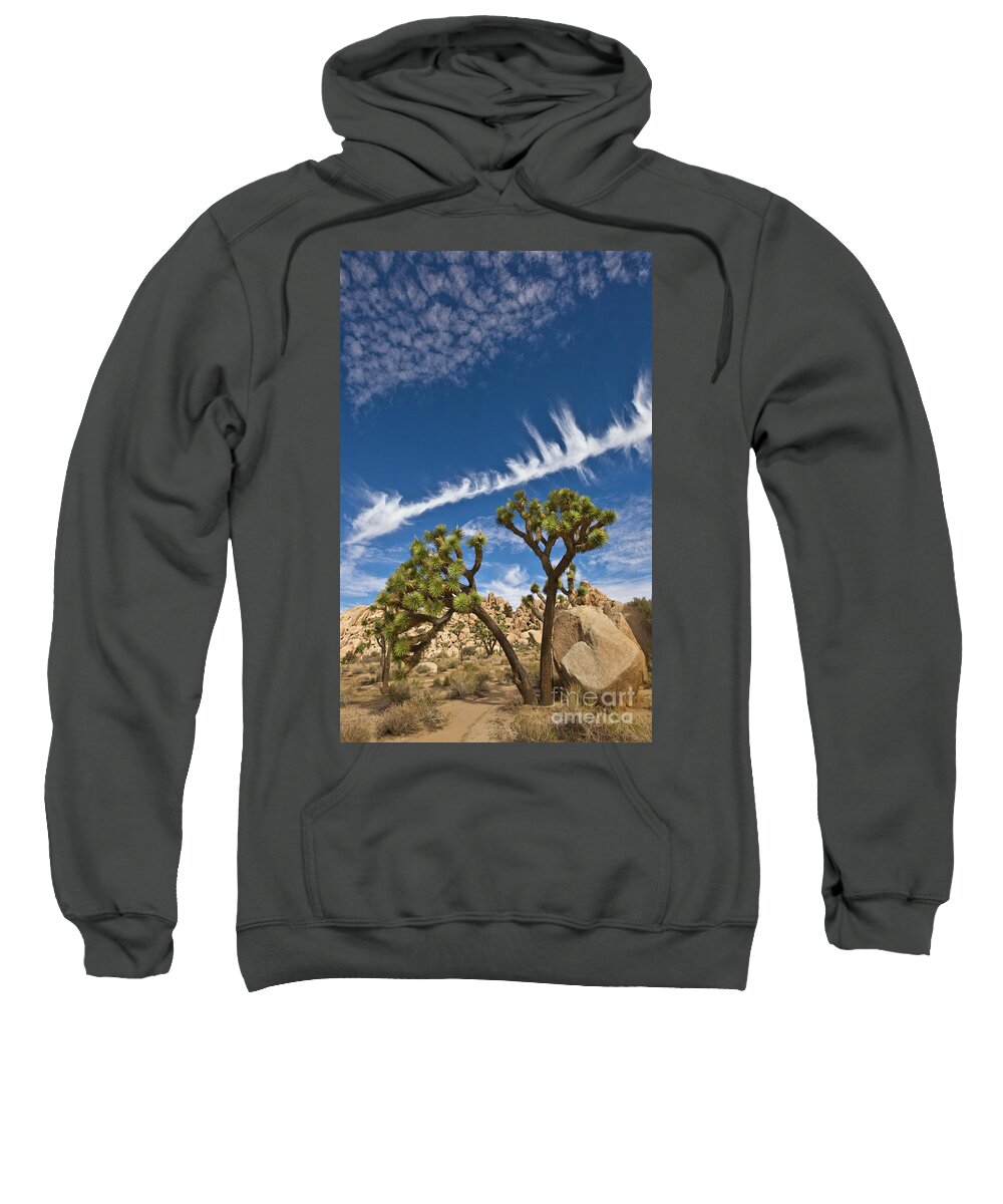00559244 Sweatshirt featuring the photograph Joshua Trees in Joshua Tree Natl Park by Yva Momatiuk and John Eastcott