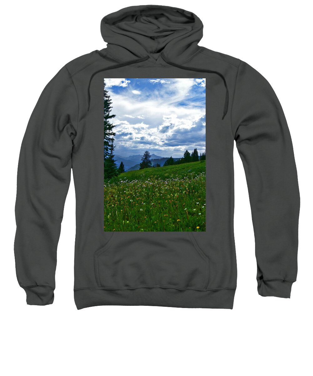 Shrine Pass Sweatshirt featuring the photograph July Fields by Jeremy Rhoades