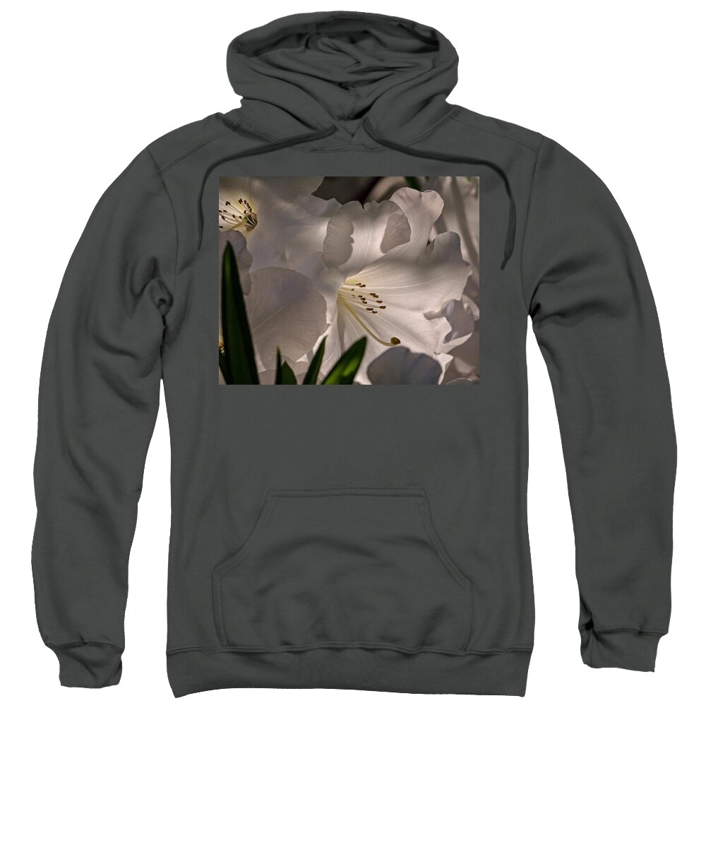 Shining Through The Darkness Sweatshirt featuring the photograph Shining Through The Darkness - Flower Art by Jordan Blackstone