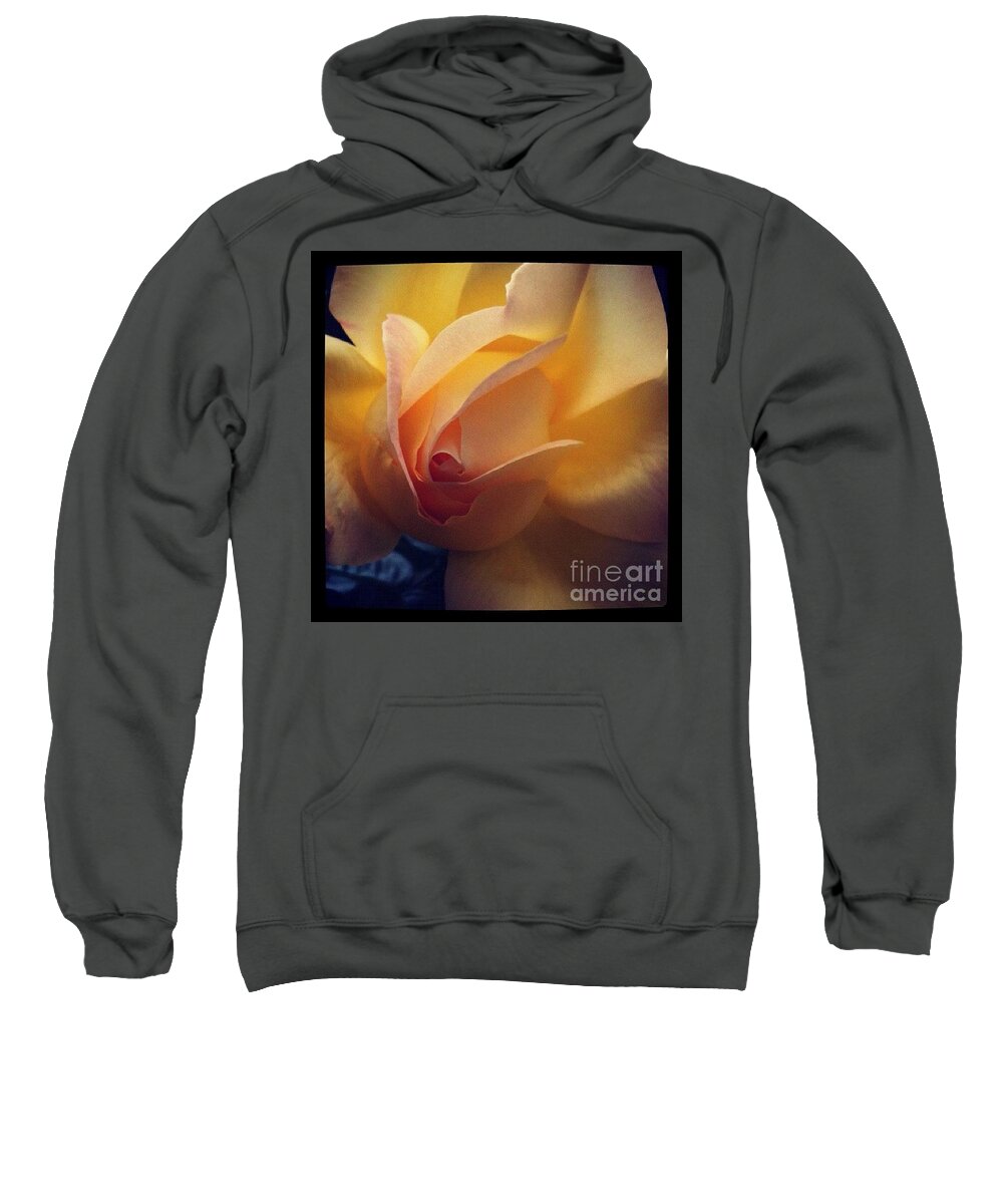 Rose Sweatshirt featuring the photograph Like Butter by Denise Railey