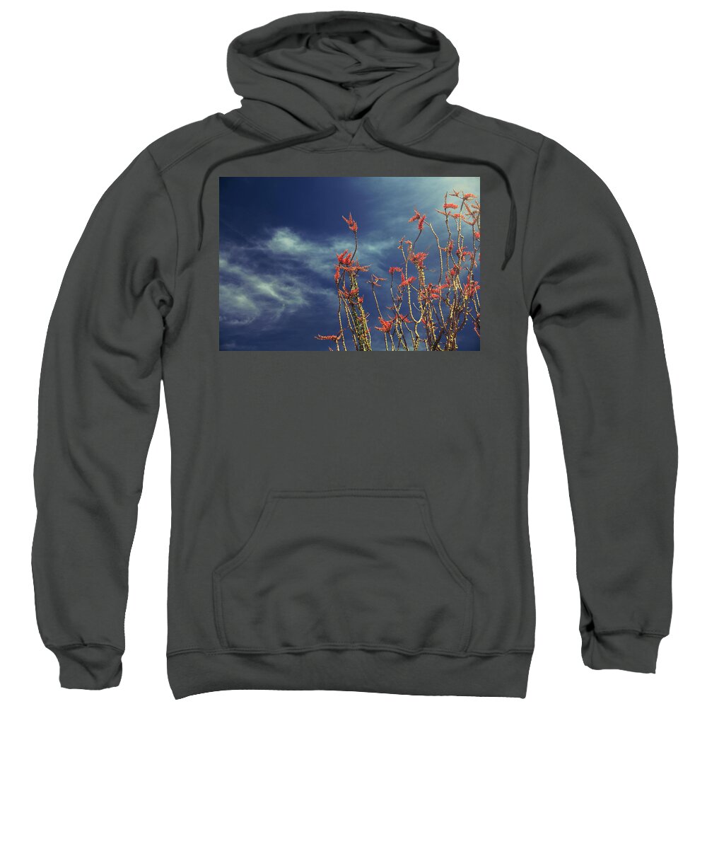 Joshua Tree National Park Sweatshirt featuring the photograph Like Flying Amongst the Clouds by Laurie Search