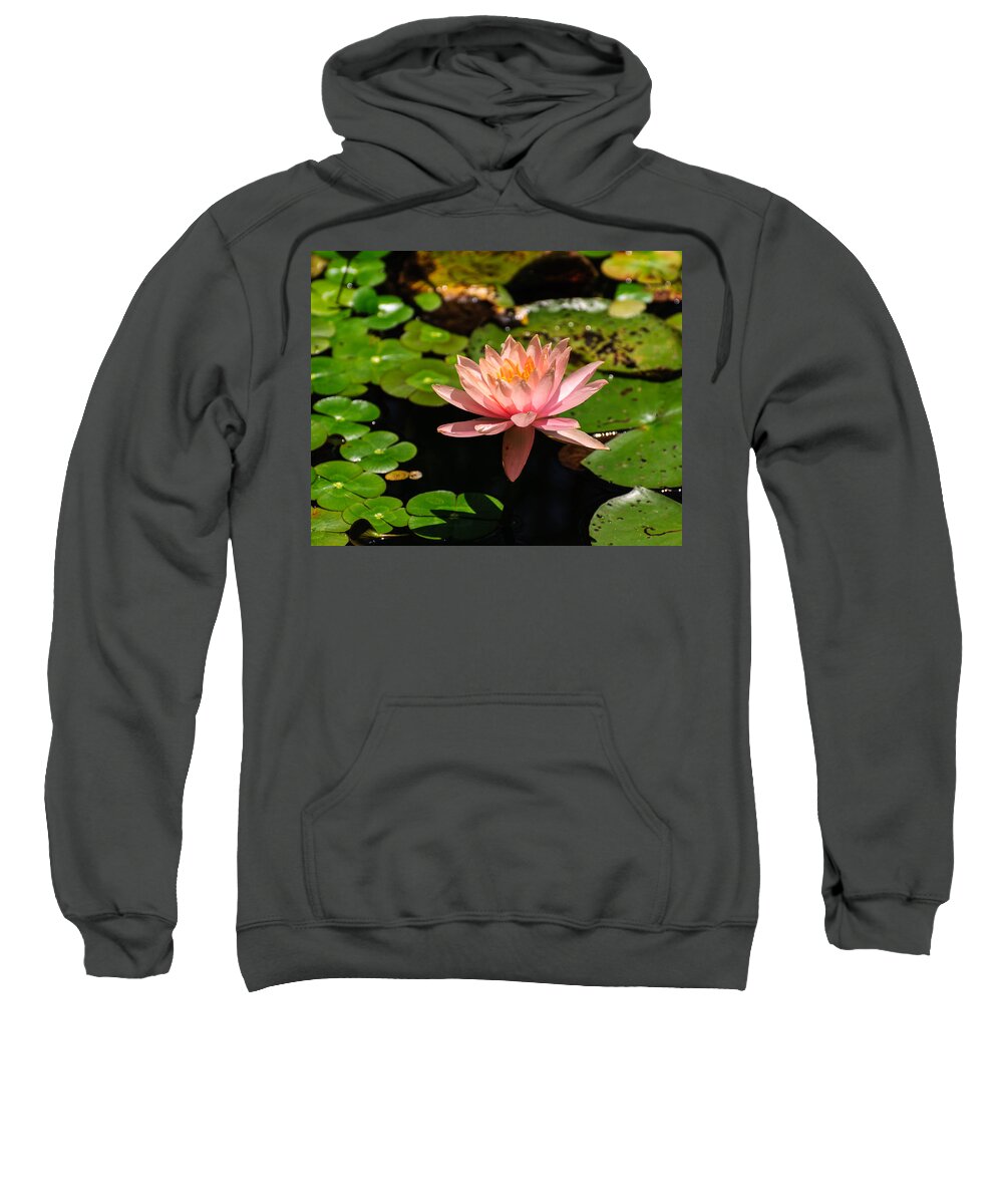 Lily Sweatshirt featuring the photograph Lily pad by John Johnson