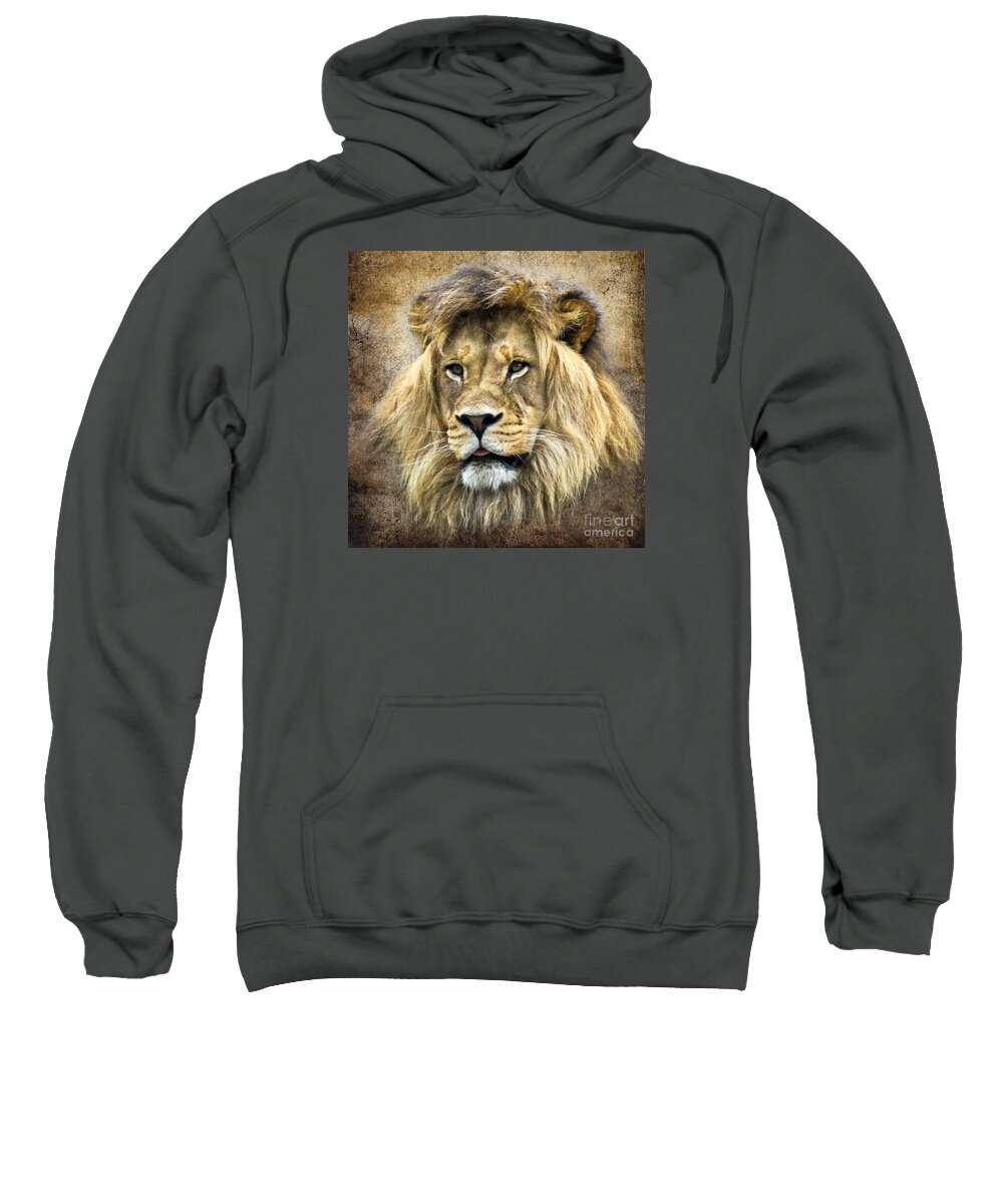 Wildlife Sweatshirt featuring the photograph Lion King by Steve McKinzie
