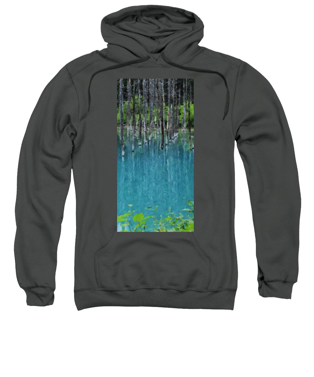 Photography Sweatshirt featuring the digital art Liquid Forest by David Hansen