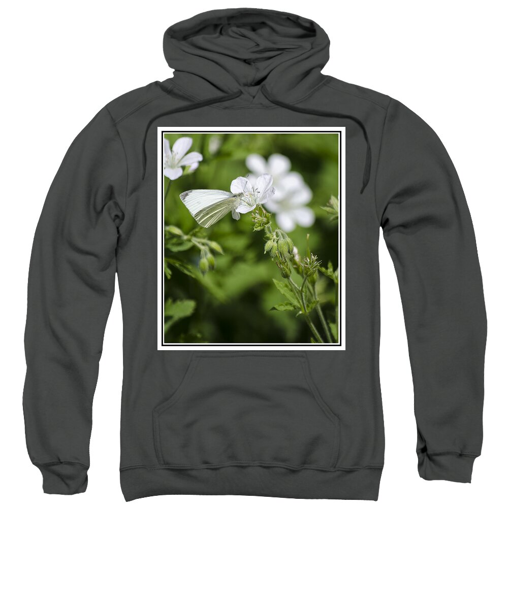 Butterfly Sweatshirt featuring the photograph Little Butterfly by Spikey Mouse Photography