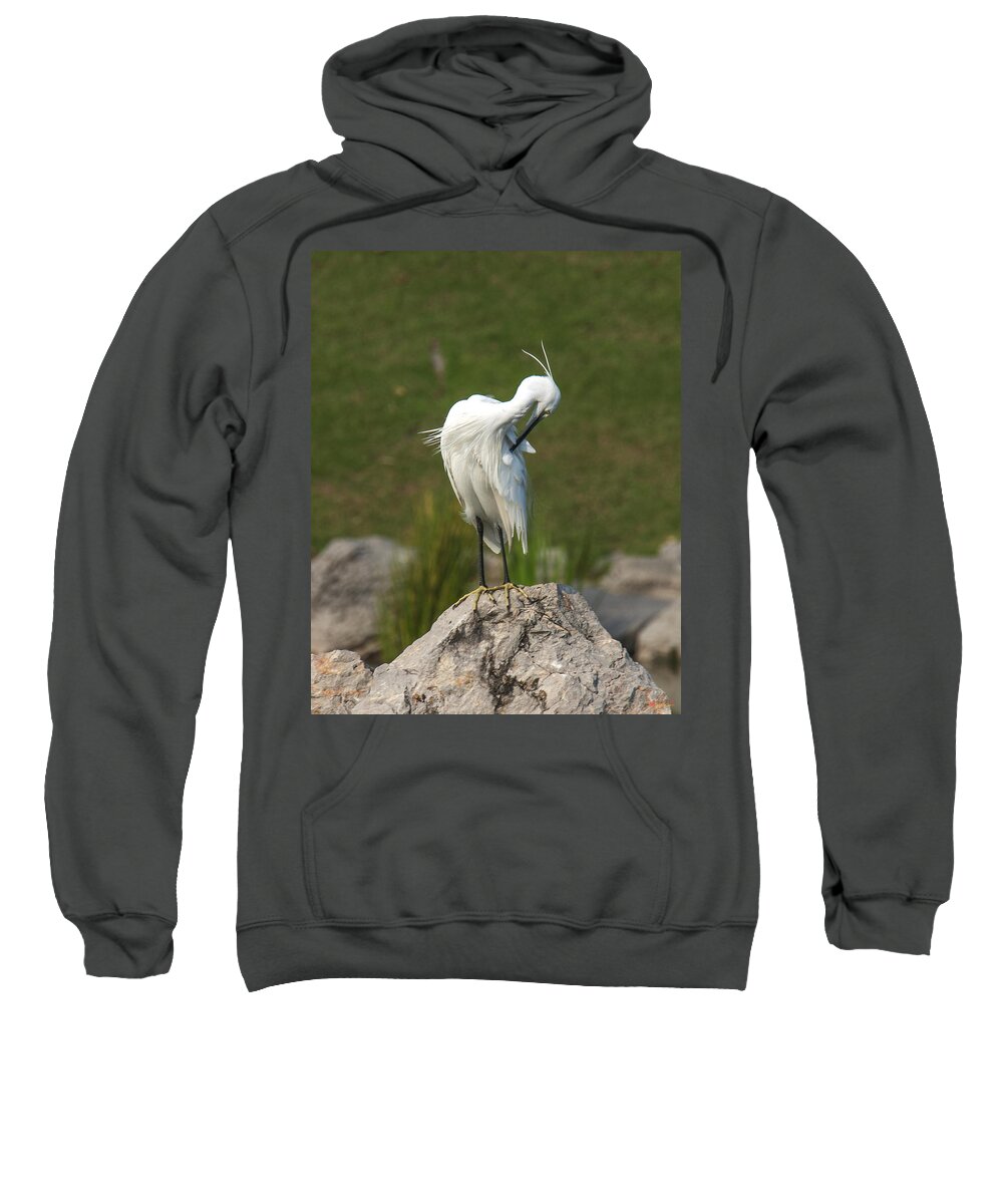 Nature Sweatshirt featuring the photograph Little Egret Preening DTHN0076 by Gerry Gantt