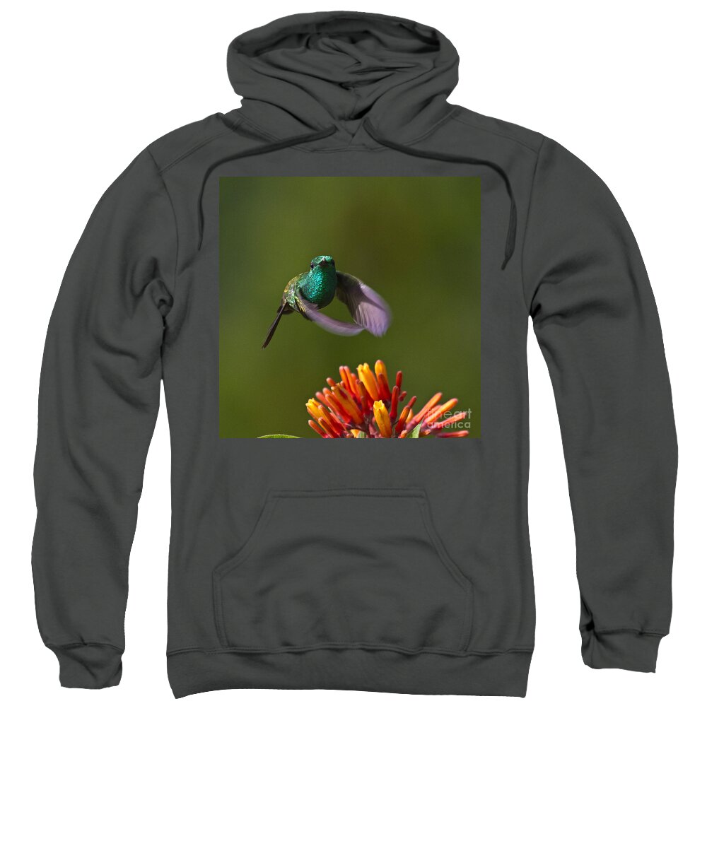 Bird Sweatshirt featuring the photograph Little Hedgehopper by Heiko Koehrer-Wagner