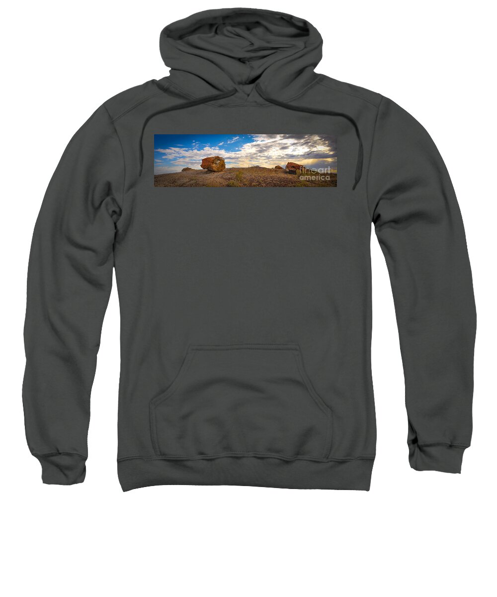 Petrified Forest Sweatshirt featuring the photograph Lonesome One by Cheryl McClure