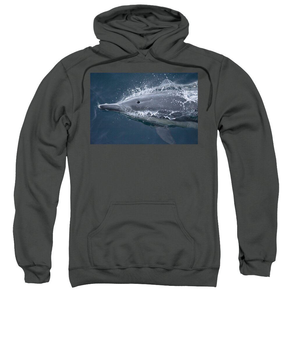 Feb0514 Sweatshirt featuring the photograph Long-beaked Common Dolphin Baja by Flip Nicklin