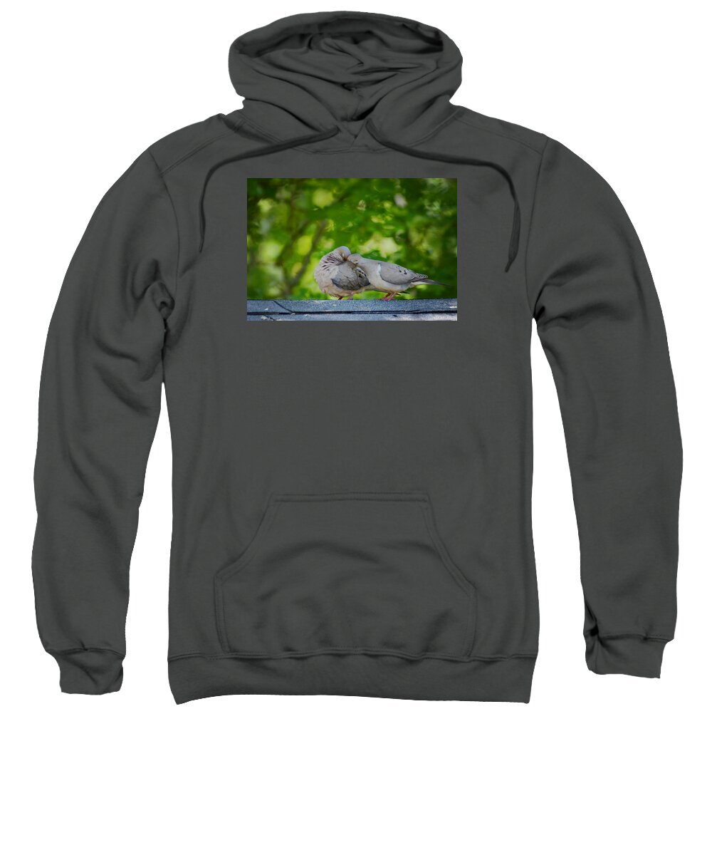 Terry D Photography Sweatshirt featuring the photograph Love Doves by Terry DeLuco