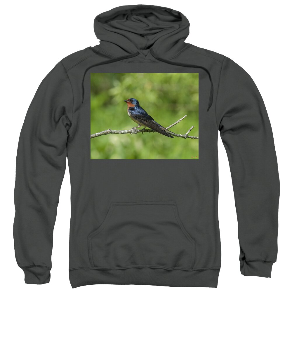 Marsh Sweatshirt featuring the photograph Male Barn Swallow Hirundo rustica DSB262 by Gerry Gantt