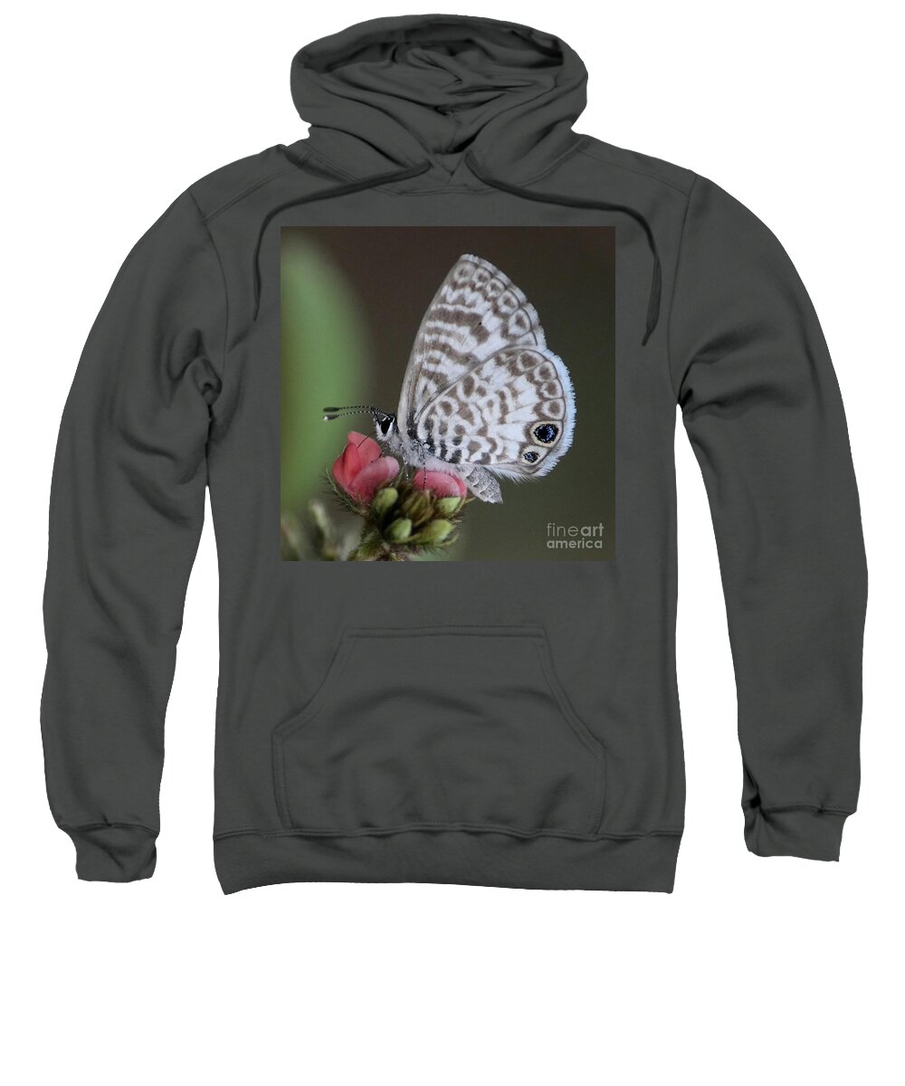 Butterfly Sweatshirt featuring the photograph Marsh Princess by Carol Groenen