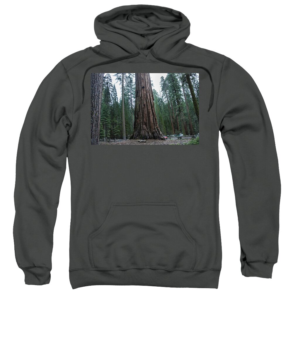 Redwoods Sweatshirt featuring the photograph Master of the Forest by Weir Here And There