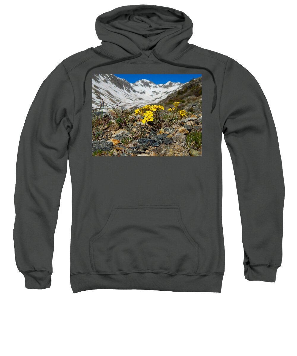 Photo Sweatshirt featuring the photograph Blue Lakes Colorado Wildflowers by Dan Miller