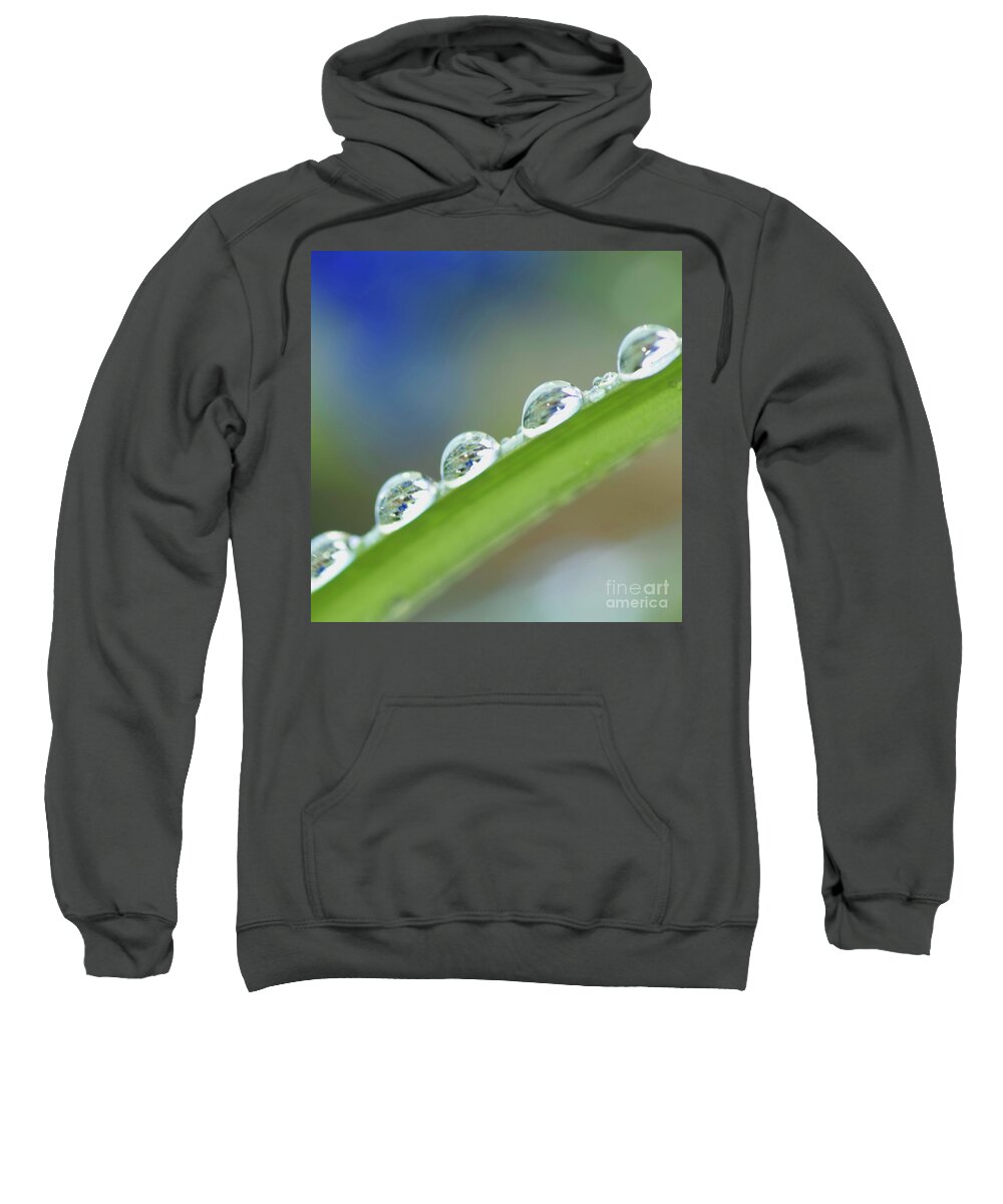 Drop Sweatshirt featuring the photograph Morning dew drops by Heiko Koehrer-Wagner