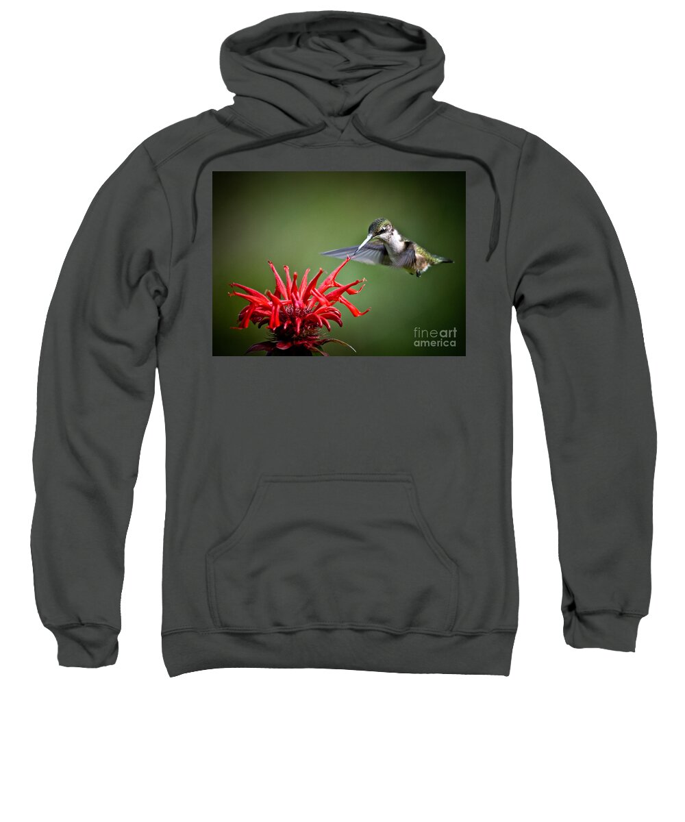 Ruby-throated Hummingbird Sweatshirt featuring the photograph Morning Meal by Cheryl Baxter